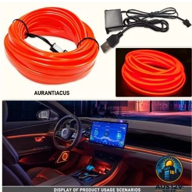 5M Car Interior Led Decorative Lamp EL Wiring Neon Strip Flexible Ambient Light USB